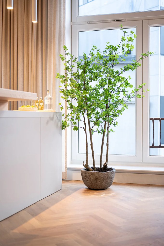 Pottery Pots Mt. Francis virágcserép, szürke diorit, többféle méretben - Fazekas edények méret: S - ⌀ 59, óra. 29 cm