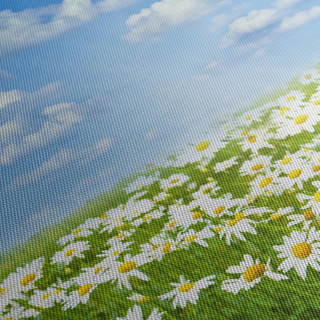 A virágzó rét százszorszépekkel képe (órával) (90x30 cm)
