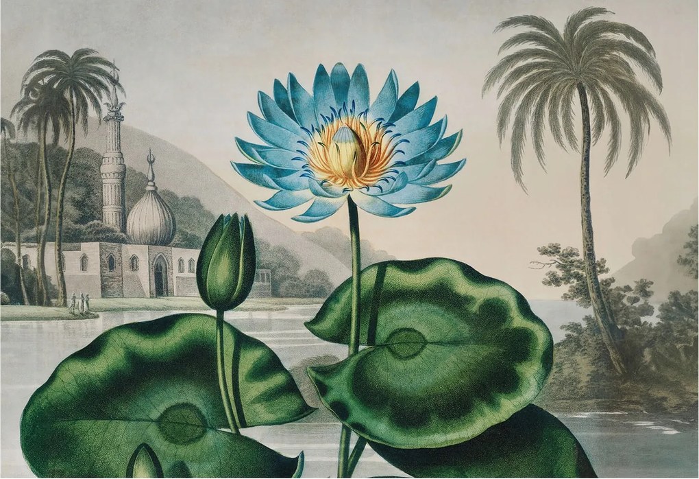 Fotótapéta Flizelin a nappali hálószobába Egzotikus táj 152x104