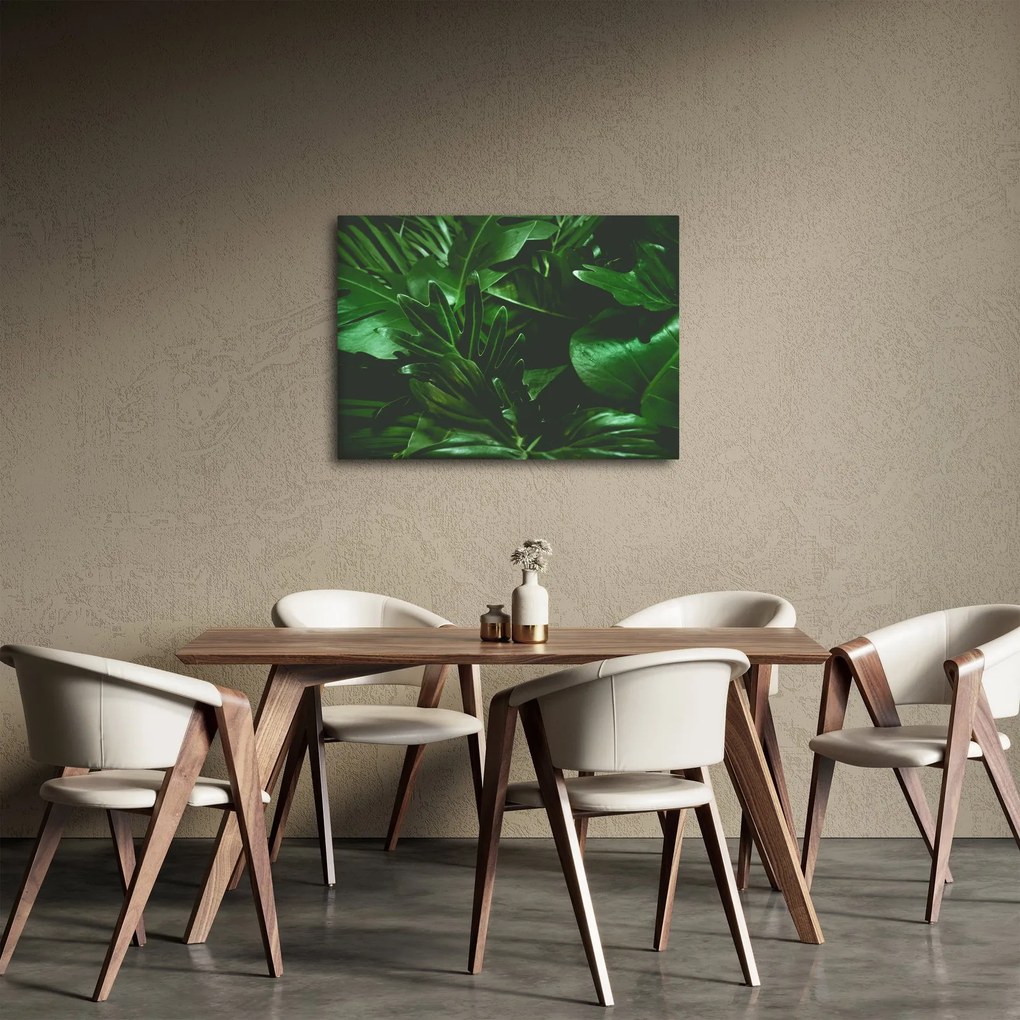 Kép - Pálmalevél (70x50 cm)