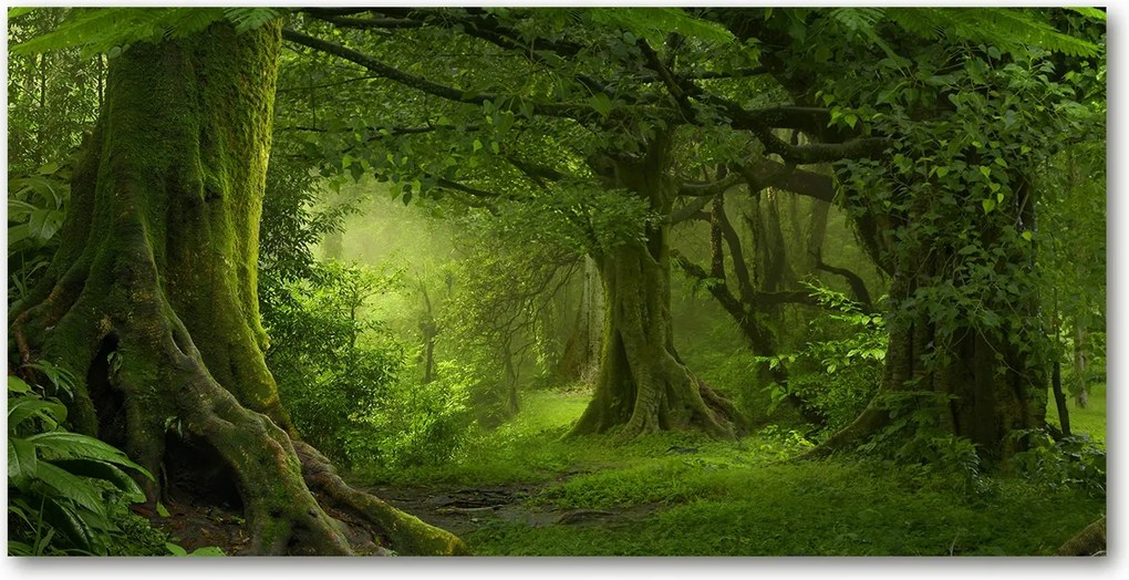 Fotó üvegkép Trópusi dzsungel 140x70