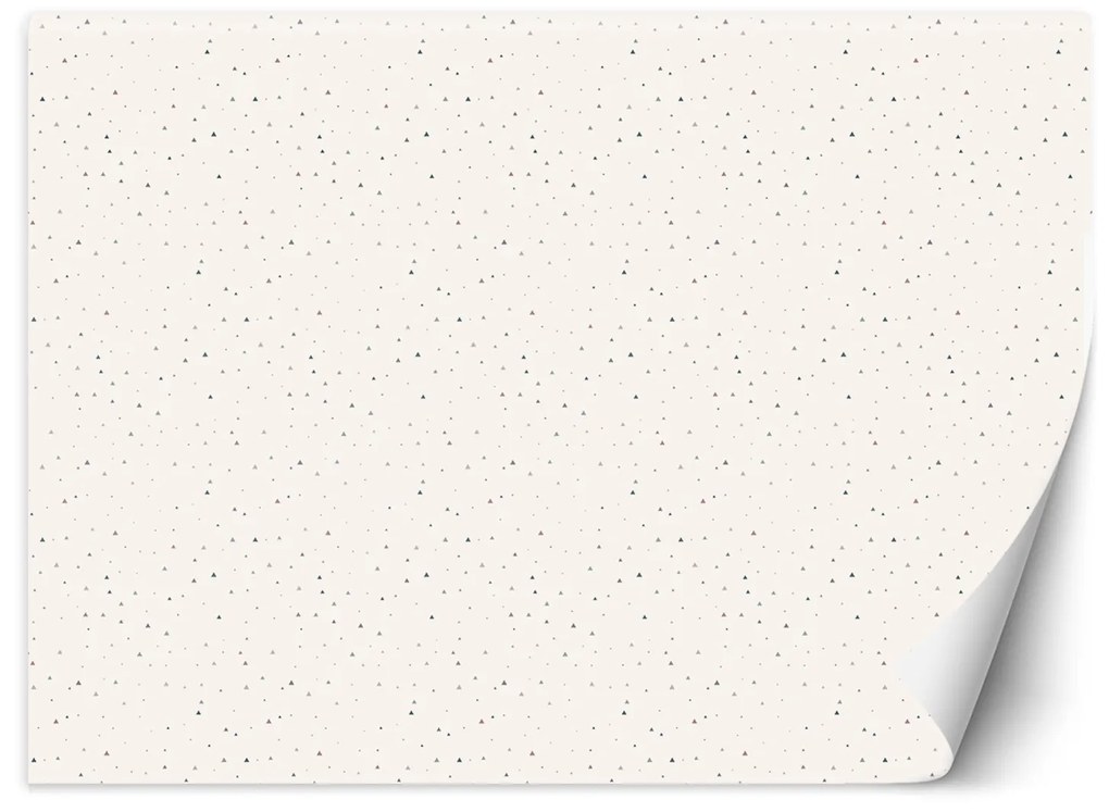 Gario Fotótapéta Scandi háromszögek Anyag: Vlies, Méret: 450 x 315 cm