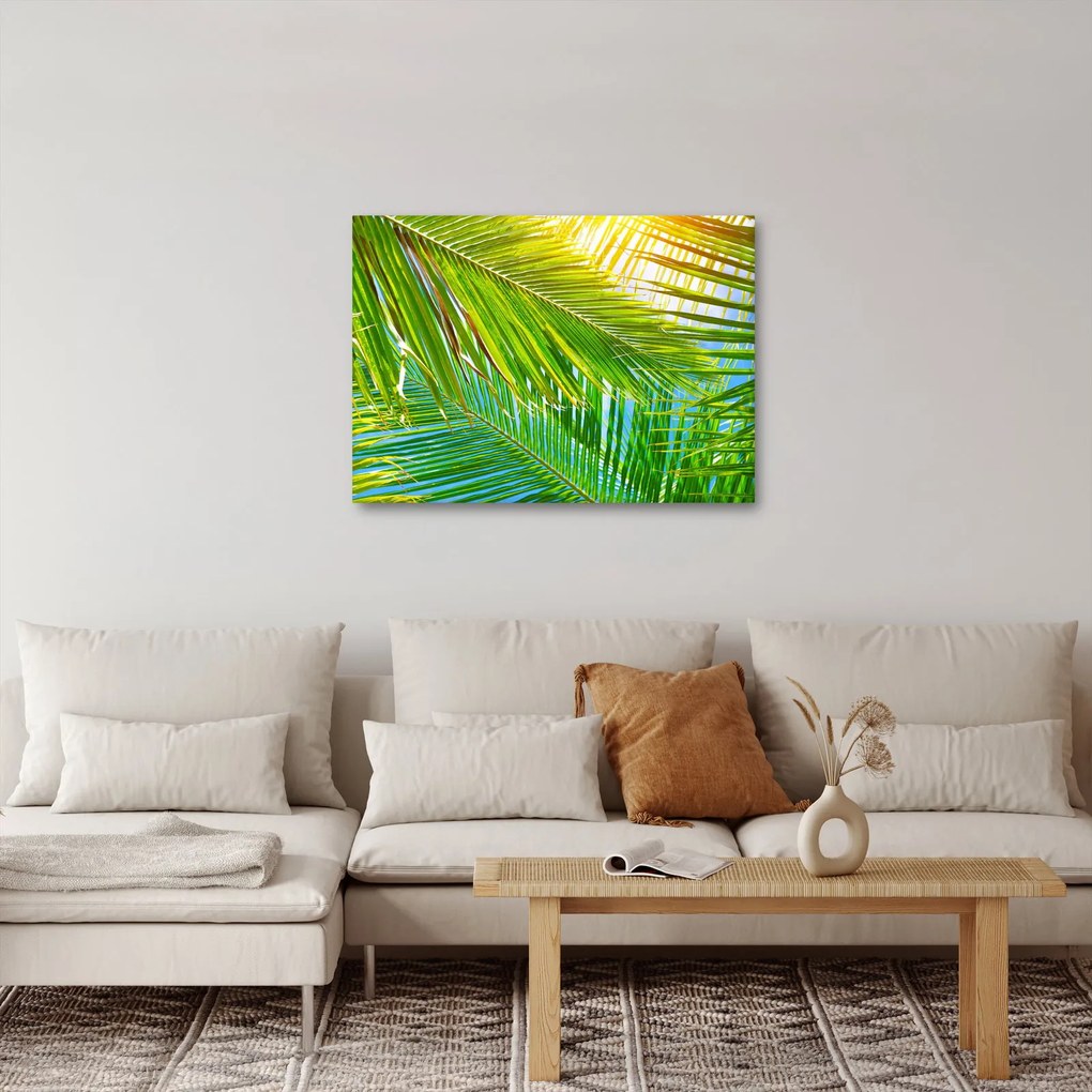 Kép - Pálmalevelek (70x50 cm)