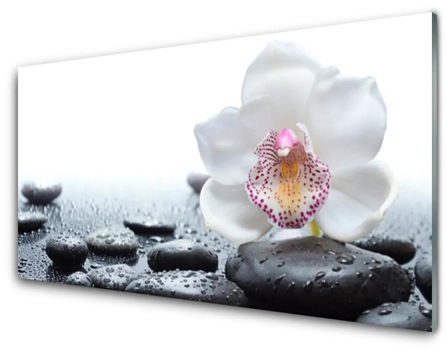 Akrilkép Orchidea Virág Art 140x70 cm