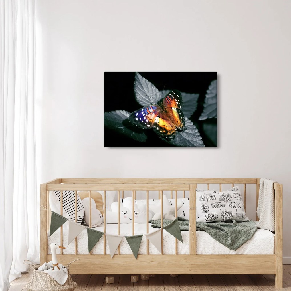 Pillangó képe (90x60 cm)