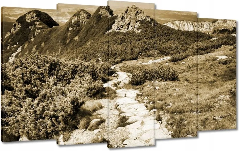 Képek 100x60 Tátra Lengyel hegyek Kilátás