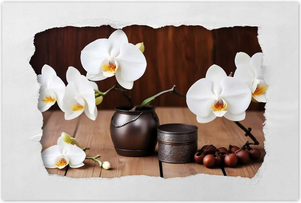 Poszterek 120x80 Fehér orchideák