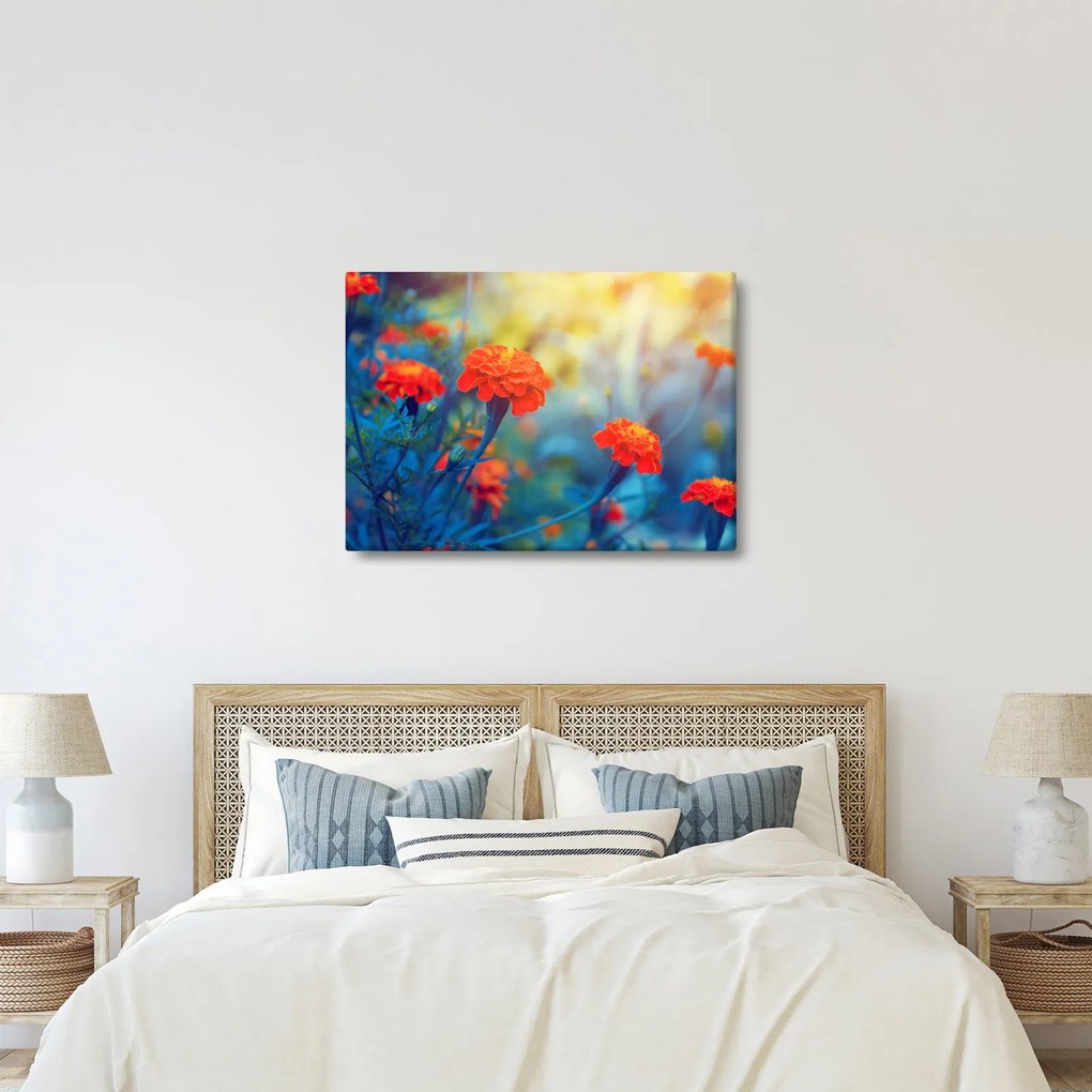 Kép - Narancssárga virágok (70x50 cm)