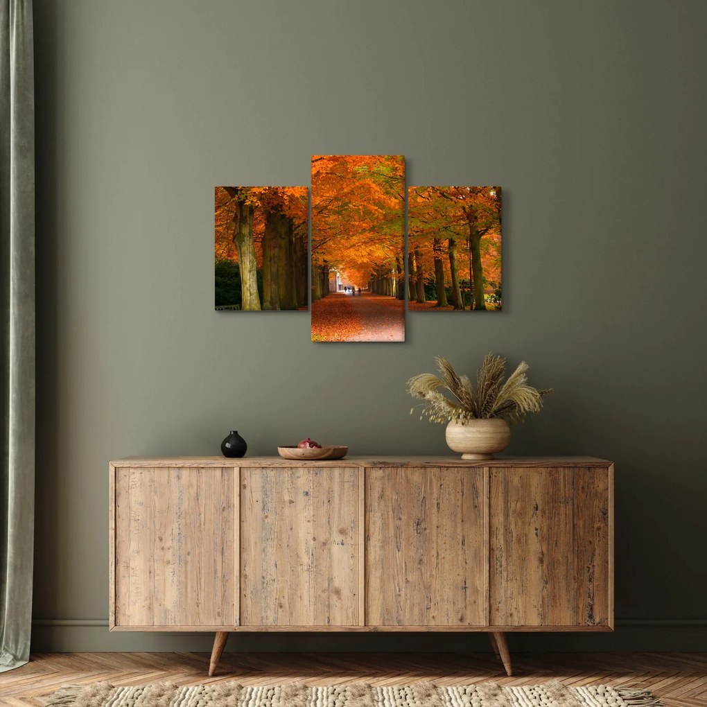 Kép - A Avenue of fák ősszel (90x60 cm)