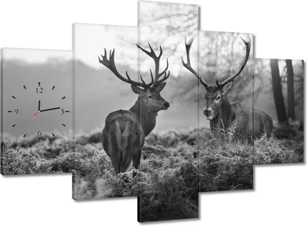 Órák 150x105 Fekete-fehér szarvasok