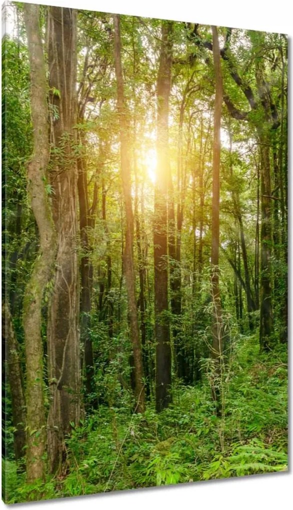 Festmények 80x120 Tájkép park