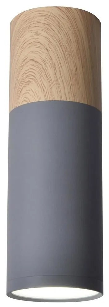 Mennyezeti lámpa TUBA GU10/15W/230V