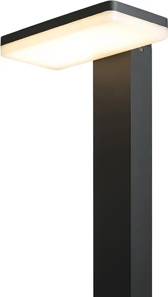 RENDL RINA állólámpa antracitszürke 230V LED 12W IP44 3000K