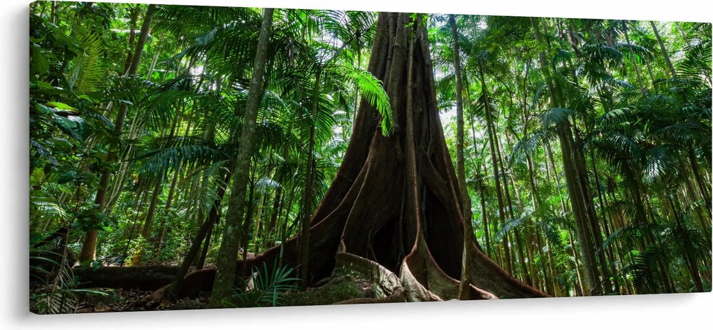 Kép - A fa gyökerei (120x50 cm)