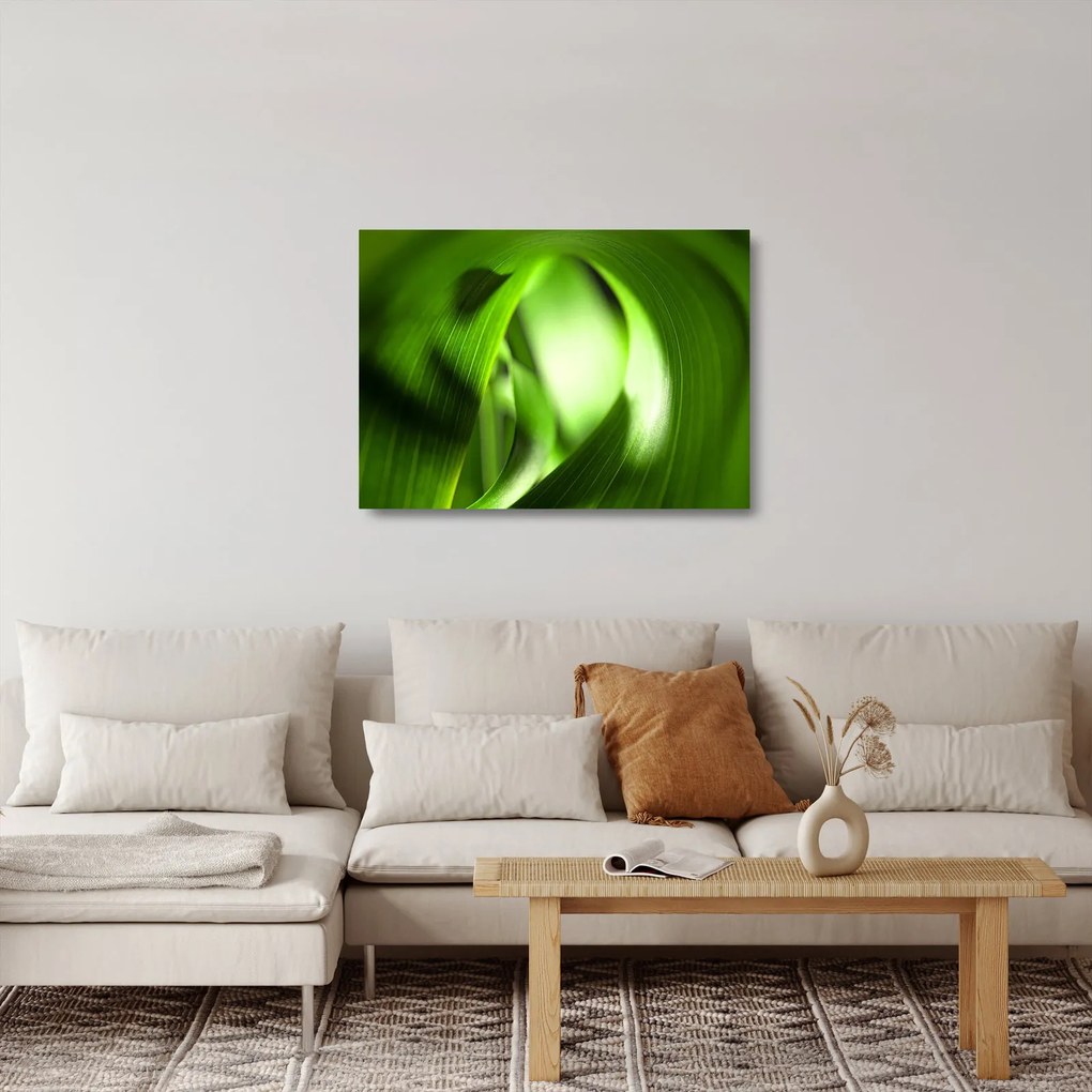 Üveg kép - Egy fűszál (70x50 cm)
