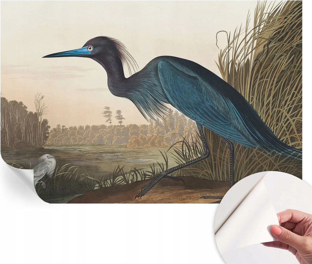 Fotótapéta Fali tapéta Hálószobába és Nappaliba Vízparti madarak 104x70 cm