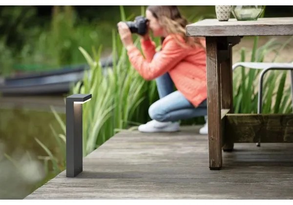 Philips - LED Kültéri lámpa BUSTAN LED/3,8W/230V 77 cm IP44