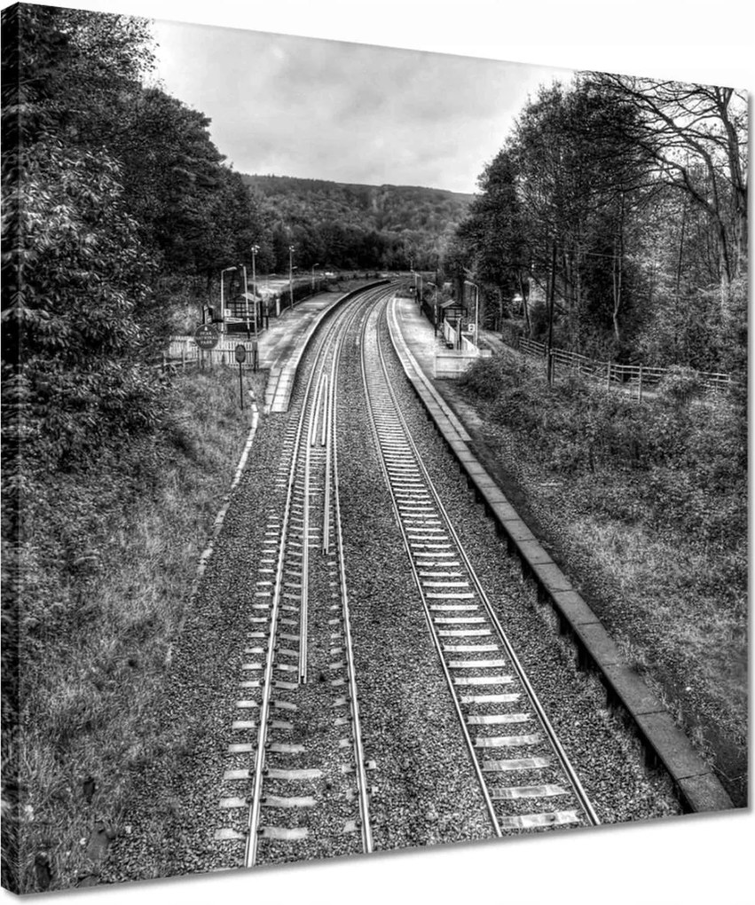 Festmények 40x40 Tóra