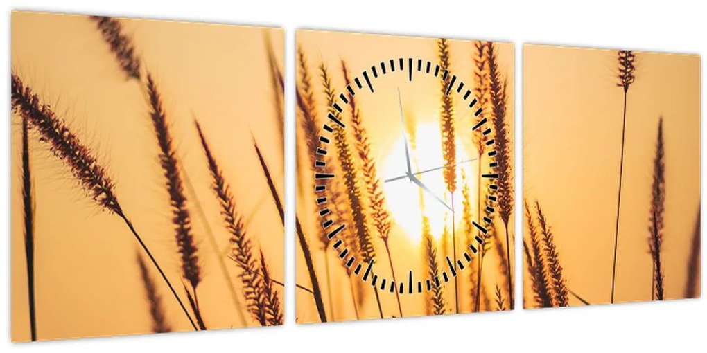 Kép - Füvek a napon (órával) (90x30 cm)
