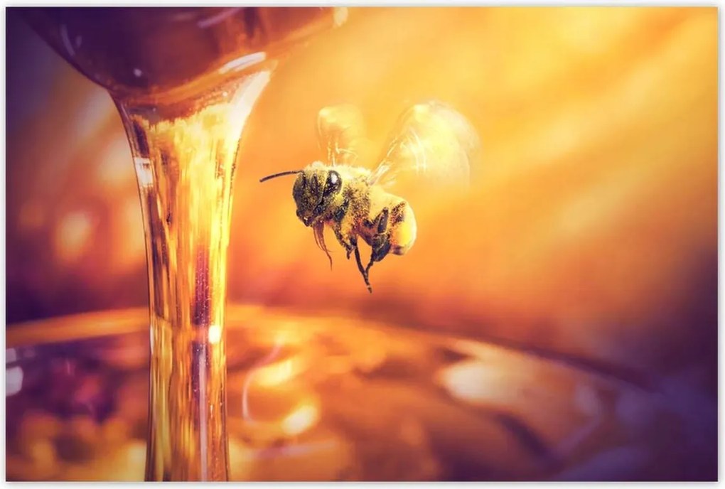 Poszterek 120x80 Csöpögő méz befőttes üvegből