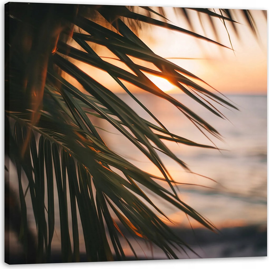 Vászonkép Természet Tengerpart Pálma Tenger Naplemente 80x80
