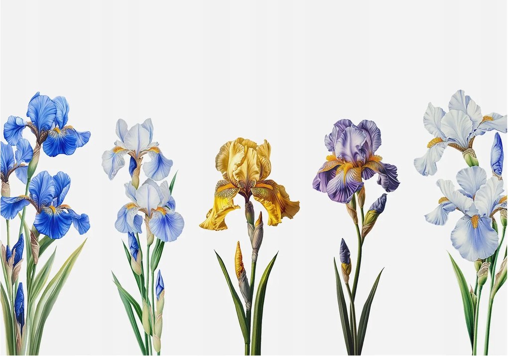 Flizelin tapéta Divatos 3D fali ragasztó Írisz virágok 208x146 ragasztó