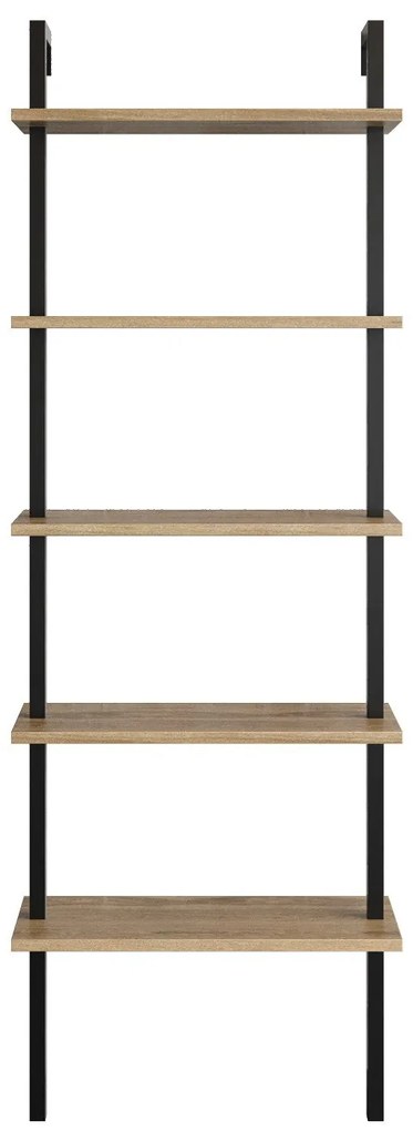 könyvespolc Piante - Walnut, Black