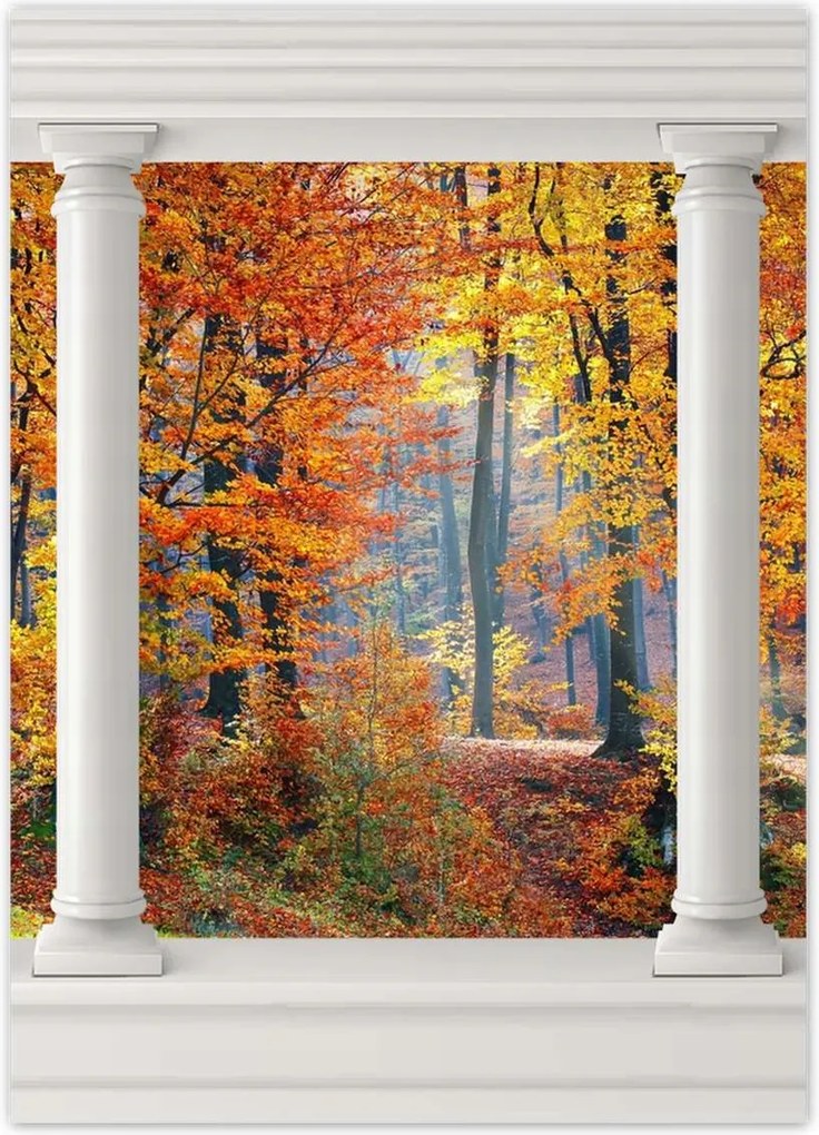 Poszterek 50x70 Arany ősz