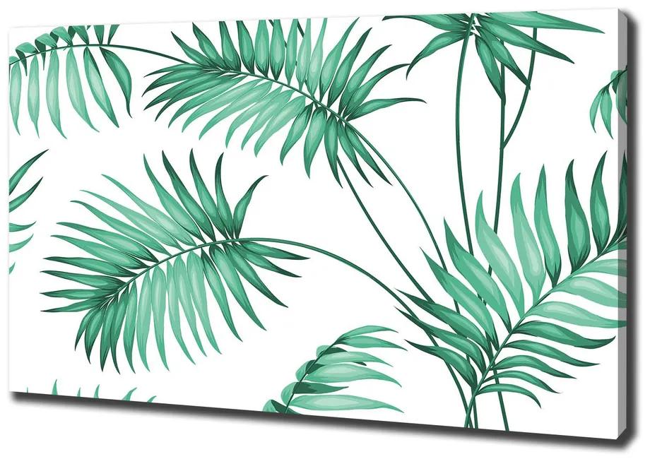Fali vászonkép Trópusi levelek pl-oc-100x70-f-86629999