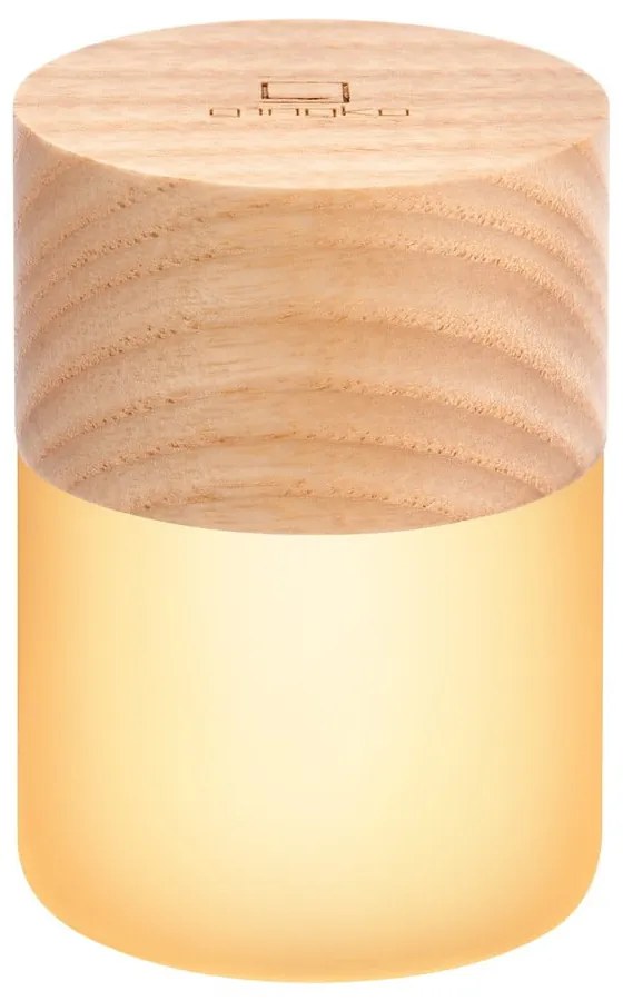 Natúr színű USB fénydekoráció ø 4,5 cm Lemelia – Gingko