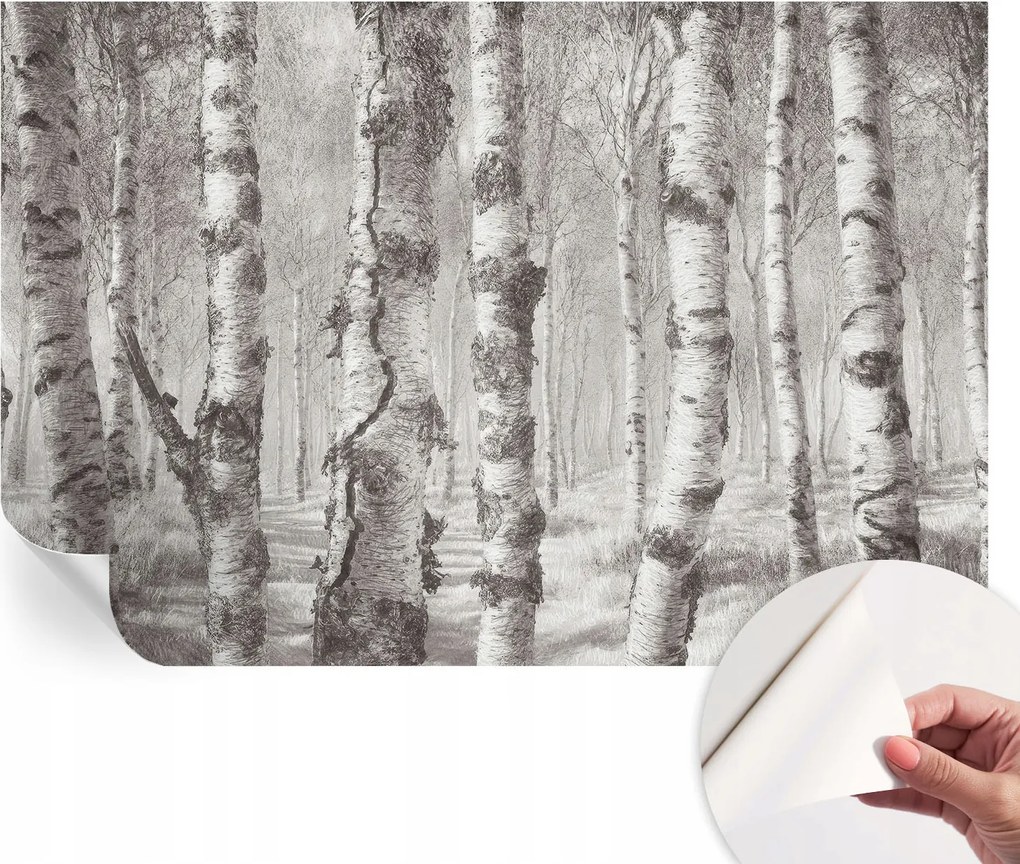 Fotótapéta Dekoratív Fali Tapéta Képekkel Nyírerdő 104x70