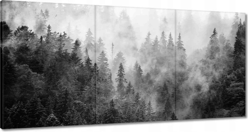 Vászonkép 120x60 Tájkép Szürke Hegyek Köd