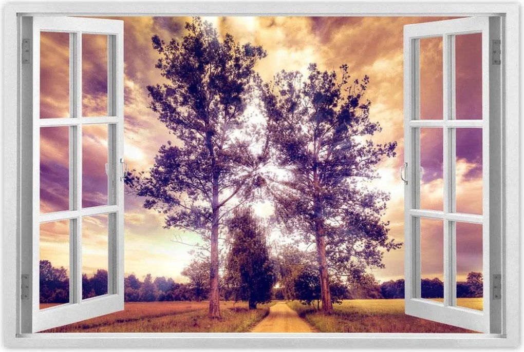 Poszterek 120x80 Fák az út mellett