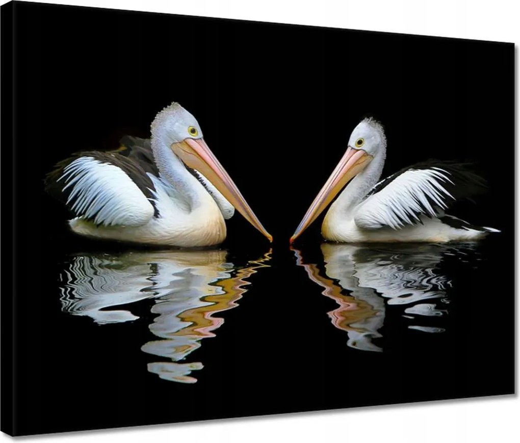 Vászonkép 40x30 Kormoránok