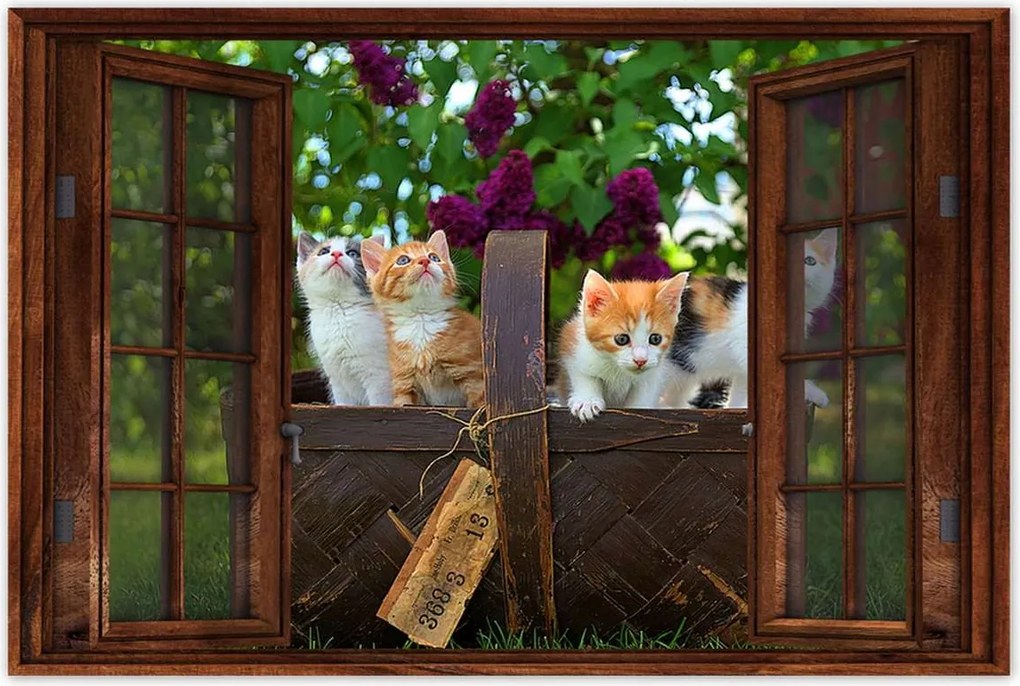 Poszterek 60x40 Cica Cicák