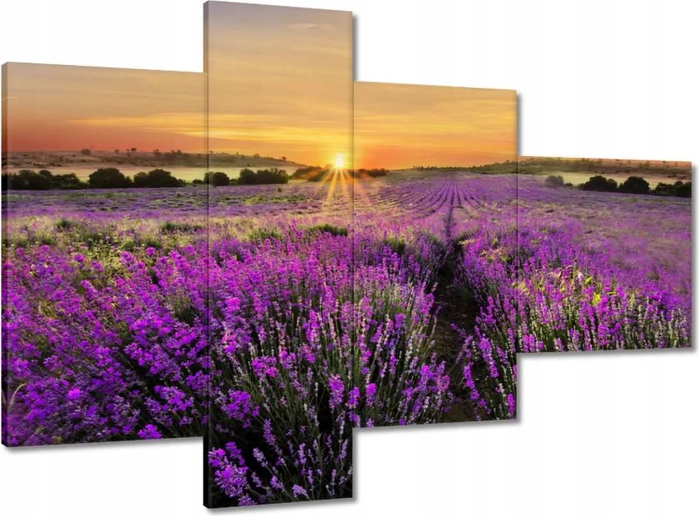 Vászonkép 100x70 Levendula naplemente