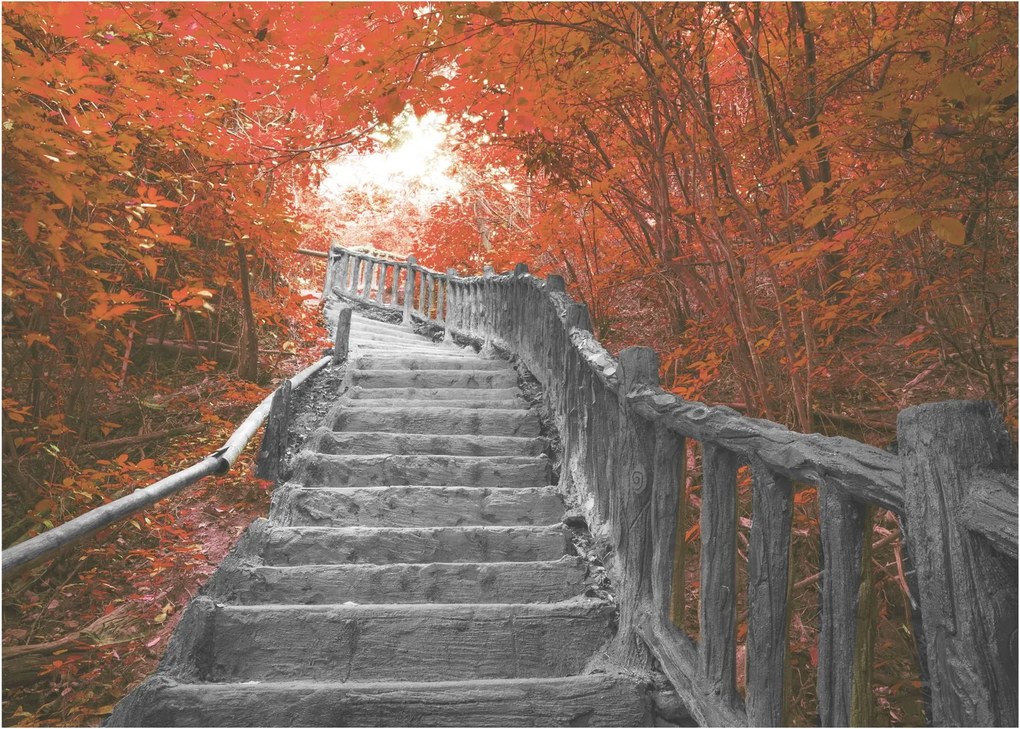 Kép - Lépcsők a természetben, narancssárga (70x50 cm)