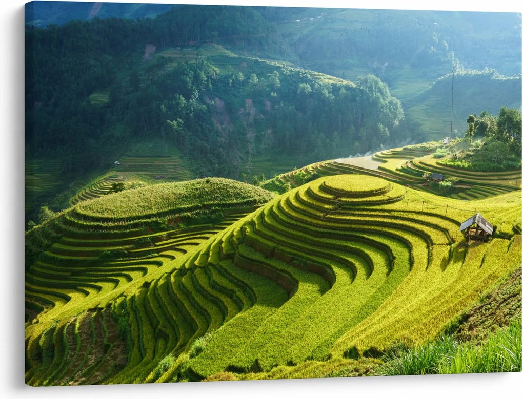 Kép - Rice Terraces koncert (70x50 cm)