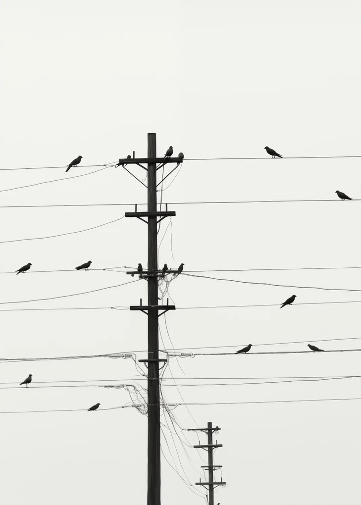 Poszter 25x35cm Szimfónia a dróton