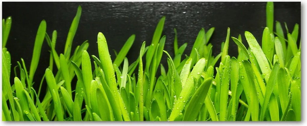 Edzett üveg panel a szekrények között Fű XXL