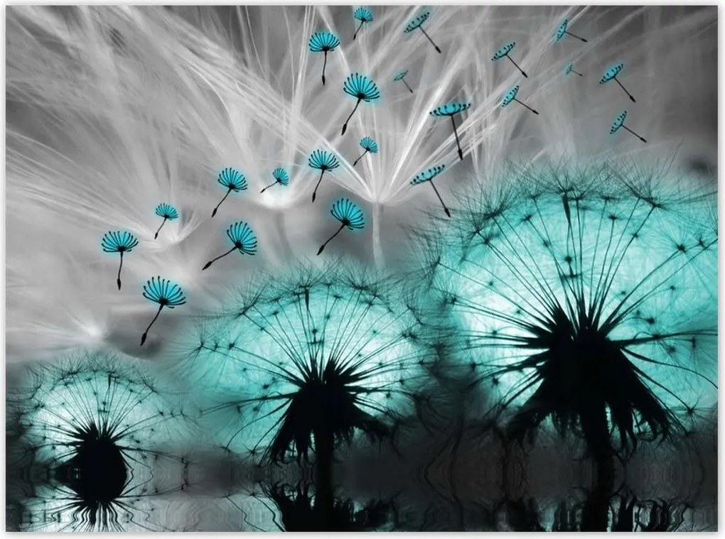 Poszterek 135x100 Kék pitypangok