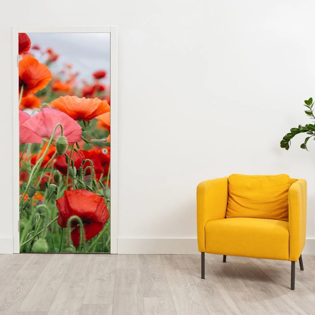 Fotótapéta ajtóra - Pipacsmező (95x205cm)