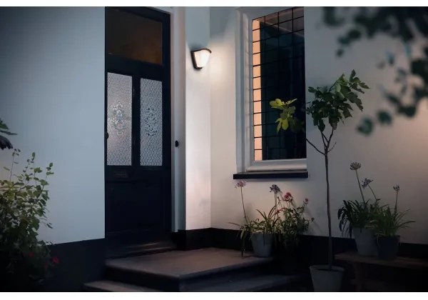 Philips 17383/93/PN - Kültéri fali lámpa KISKADEE 1xE27/42W/230V IP44