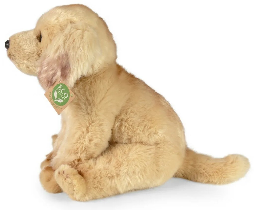 Rappa Plüss ülő labrador, 27 cm ECO-FRIENDLY