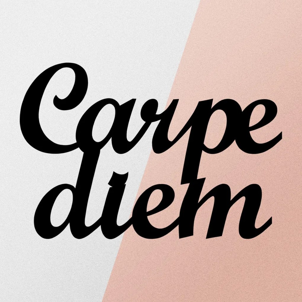 Carpediem fém fali dekoráció, 50×38 cm