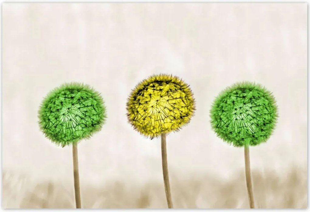 Poszterek 185x125 Sárga a lime között