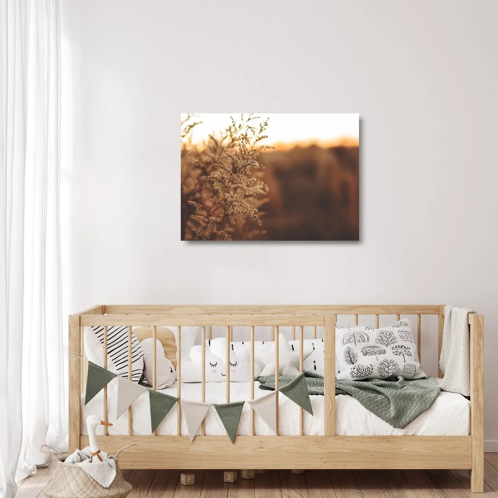 Virágzó fű képe (üvegen) (70x50 cm)
