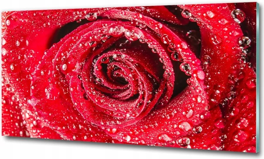 Fotó üvegkép Pitypang magok 100x70