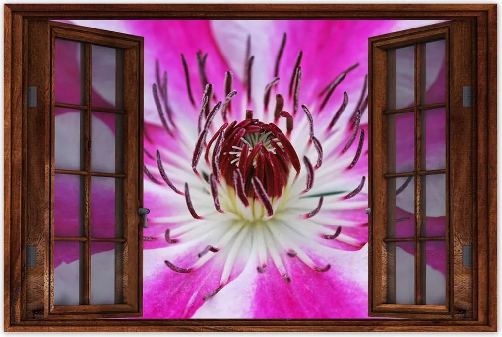 Poszterek 120x80 Fehér-lila szirmok