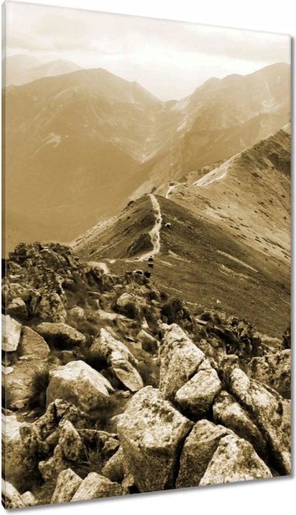 Vászonkép 80x120 Tátra Lengyel hegyek Kilátás